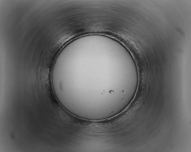 X0000116791265200912311910