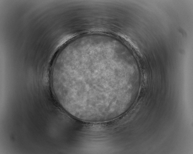 X0000116791266200912311910