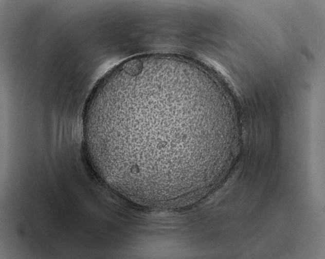 X0000116791267200912311910