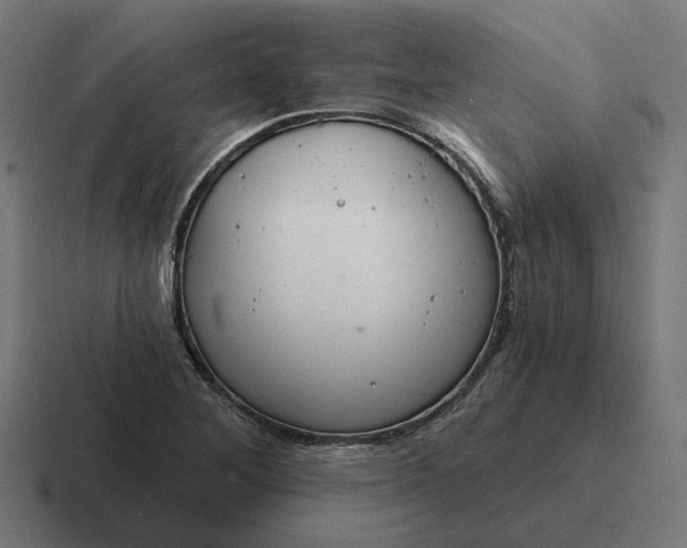 X0000116791268200912311910