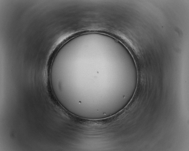 X0000116791270200912311910