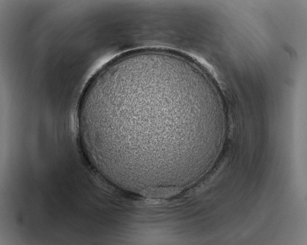 X0000116791271200912311910