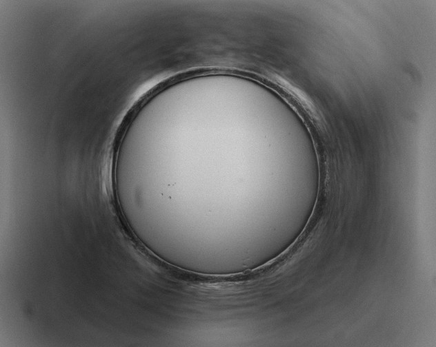 X0000116791272200912311910