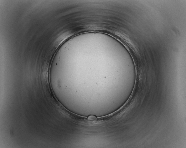 X0000116791273200912311910