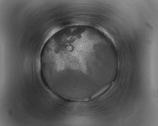 X0000116791274200912311910