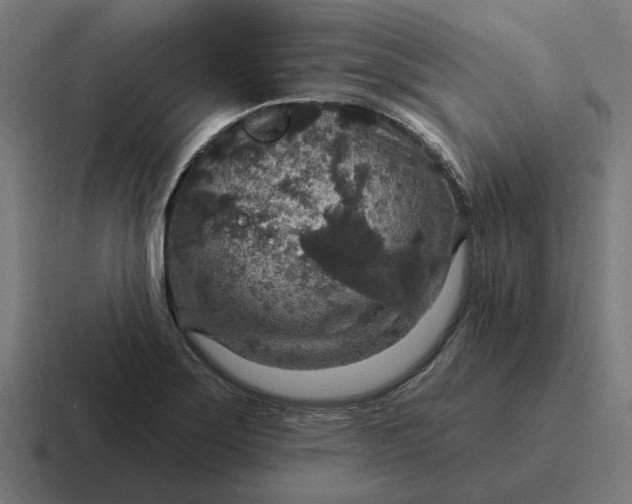 X0000116791275200912311910