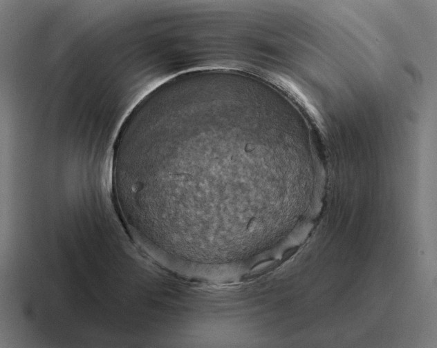 X0000116791276200912311910