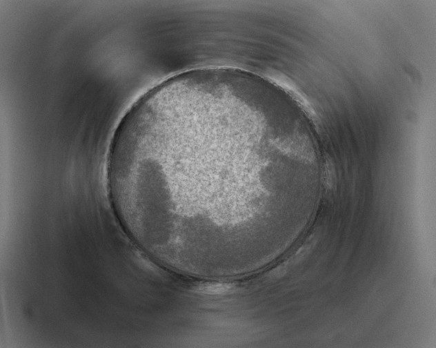 X0000116791278200912311910