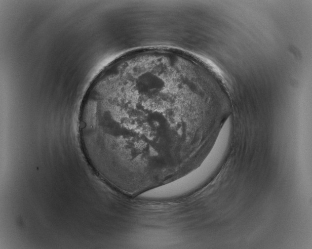 X0000116791279200912311910