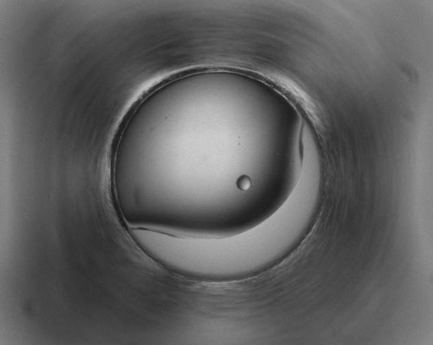 X0000116791280200912311910