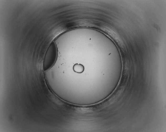 X0000116791281200912311910