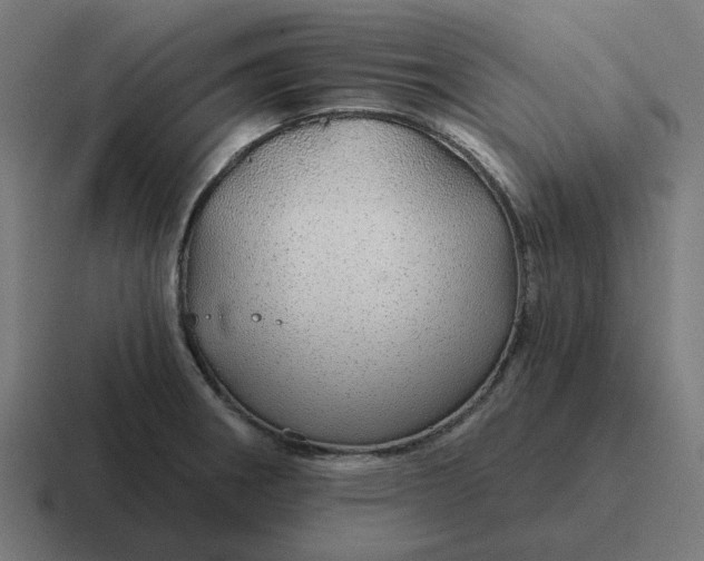 X0000116791282200912311910