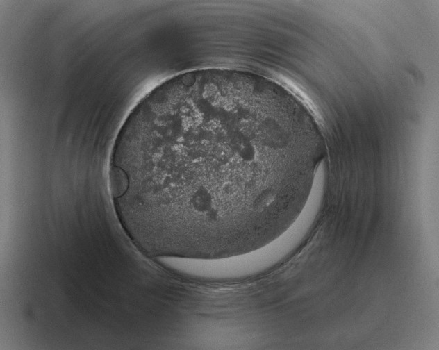 X0000116791283200912311910