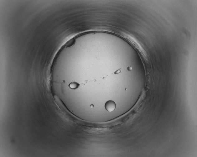 X0000116791284200912311910