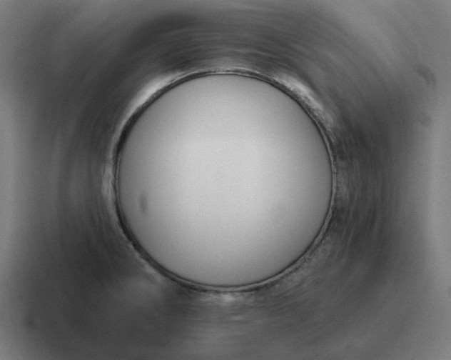 X0000116791286200912311909