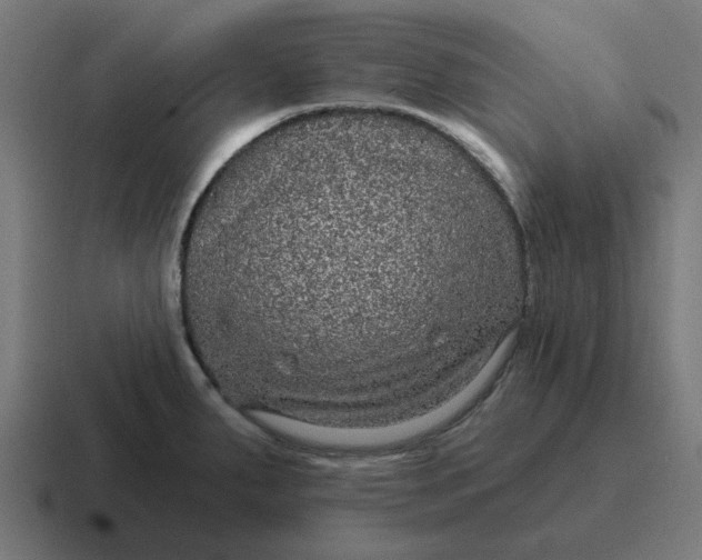 X0000116791287200912311909