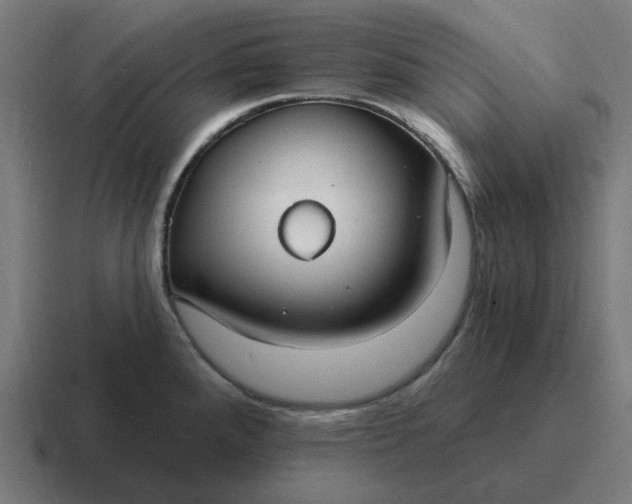 X0000116791288200912311909