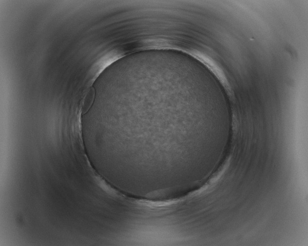 X0000116791289200912311909