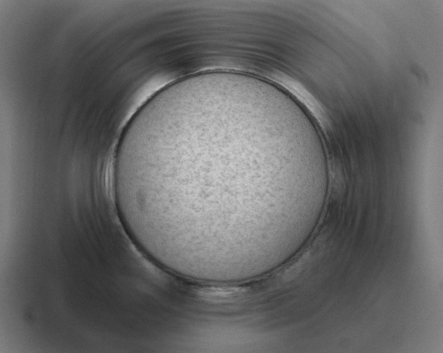 X0000116791290200912311909