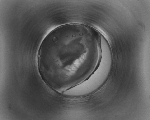 X0000116791291200912311909