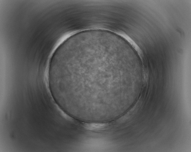 X0000116791294200912311909