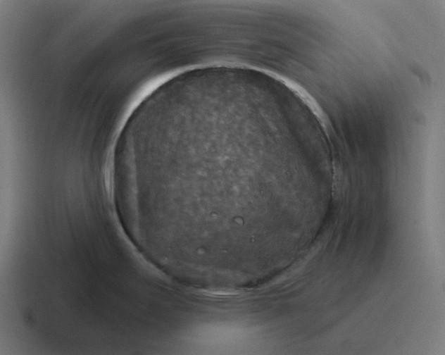 X0000116791295200912311909