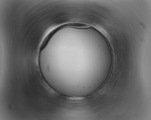 X0000116791296200912311909