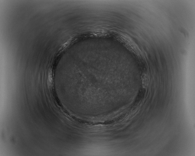 X0000116791298200912311909