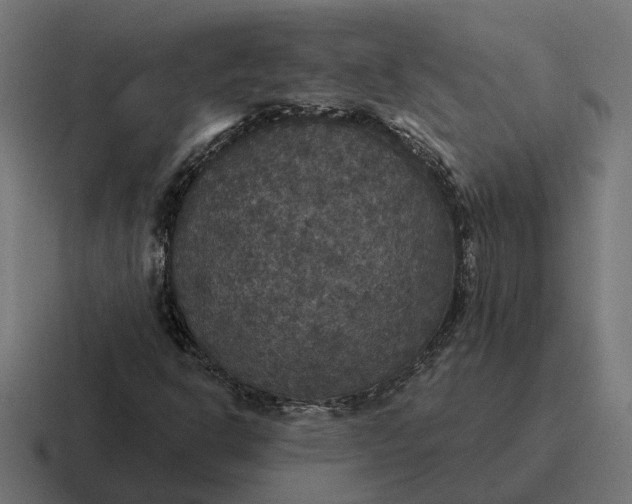 X0000116791302200912311909