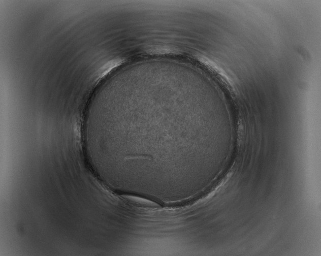 X0000116791305200912311909