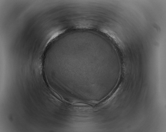 X0000116791306200912311909