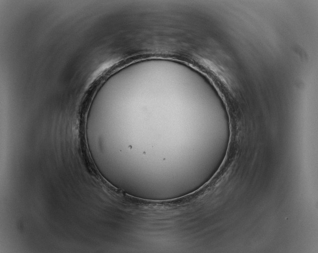 X0000116791307200912311909