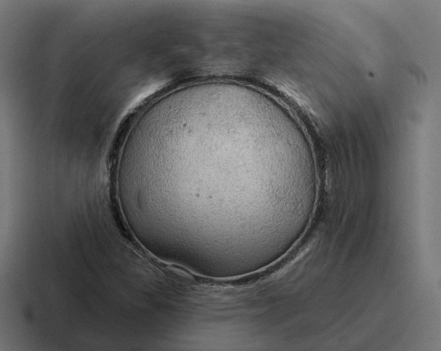 X0000116791309200912311909