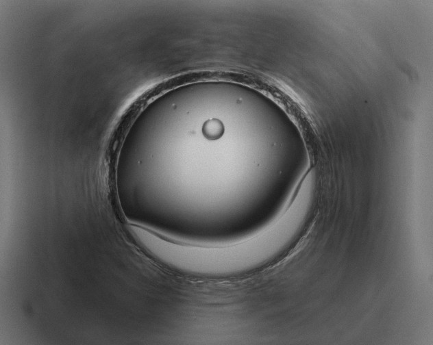 X0000116791310200912311909