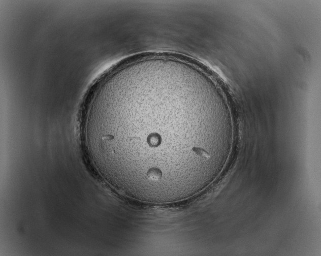 X0000116791311200912311909