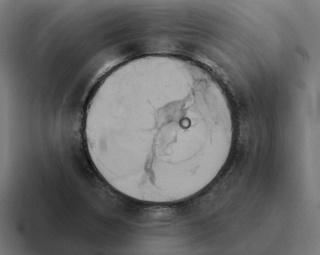 X0000116791314200912311909