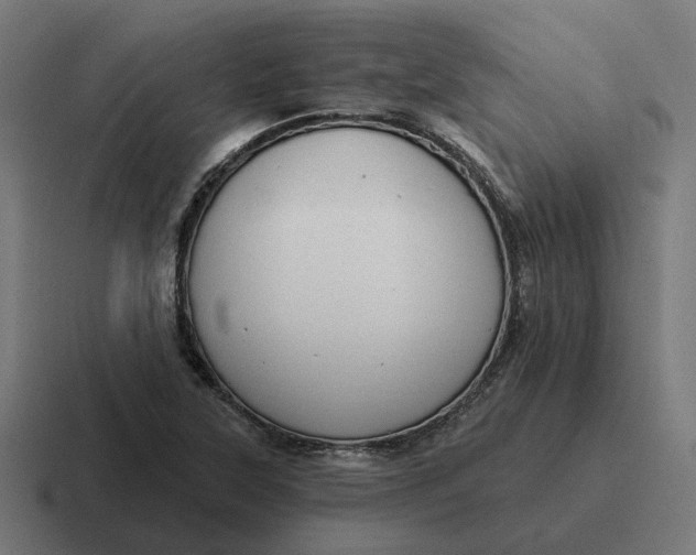 X0000116791315200912311909