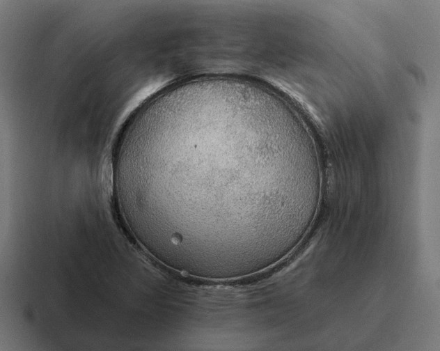 X0000116791317200912311909