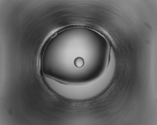 X0000116791323200912311909