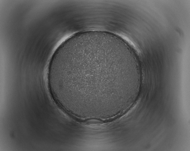 X0000116791325200912311909