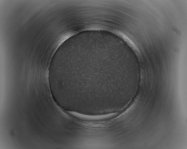 X0000116791329200912311909