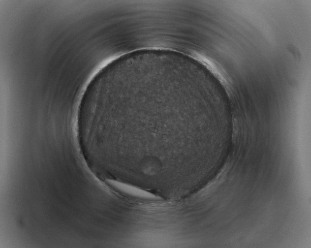 X0000116791331200912311909