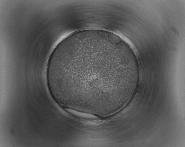 X0000116791333200912311909