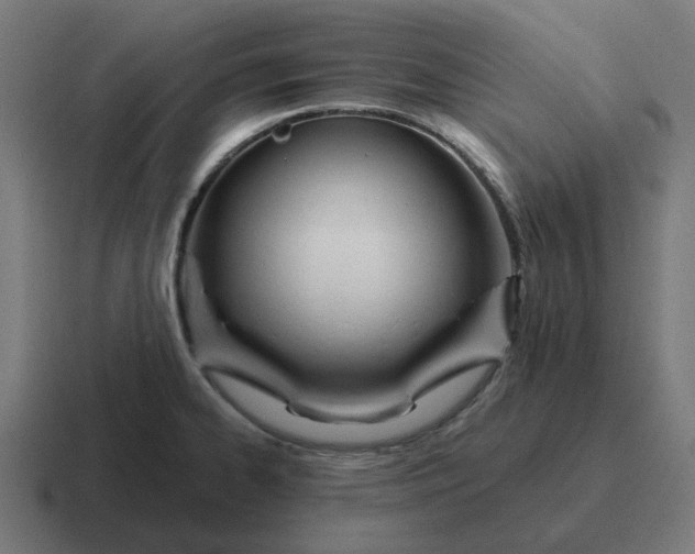 X0000116791334200912311909