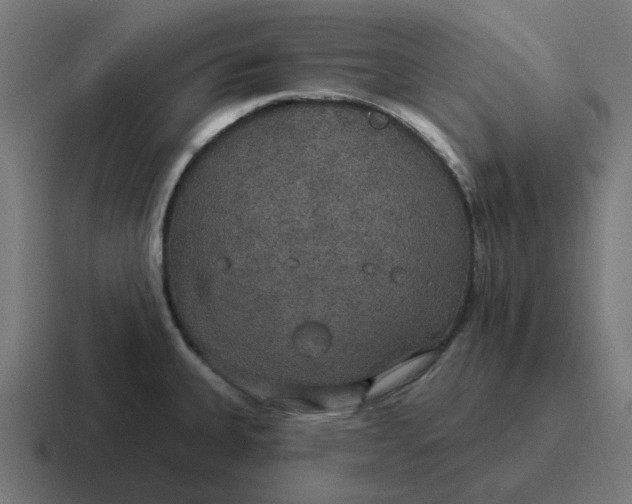 X0000116791335200912311909