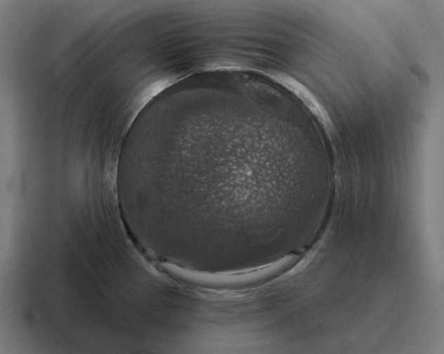 X0000116791337200912311909