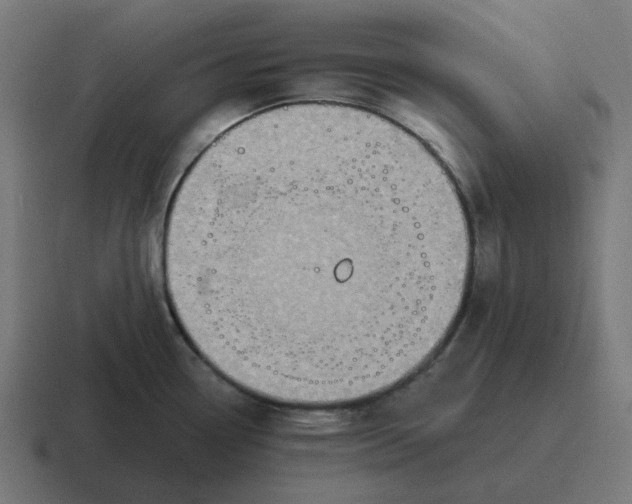 X0000116791338200912311909