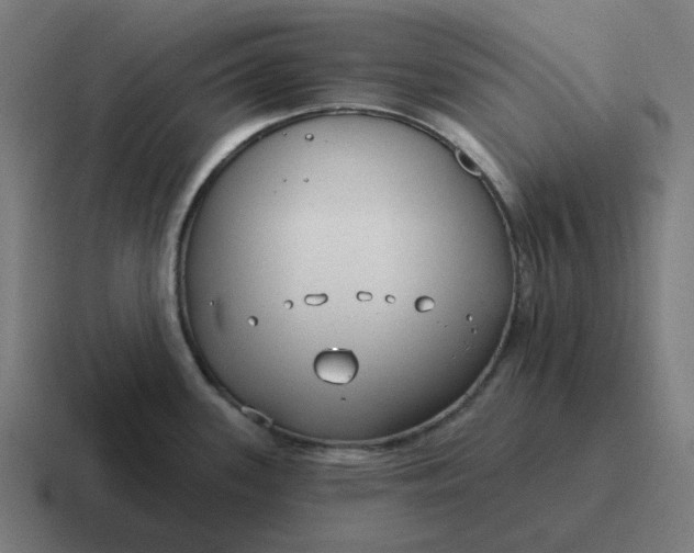 X0000116791339200912311909