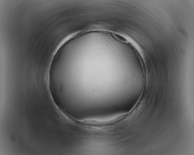 X0000116791341200912311909