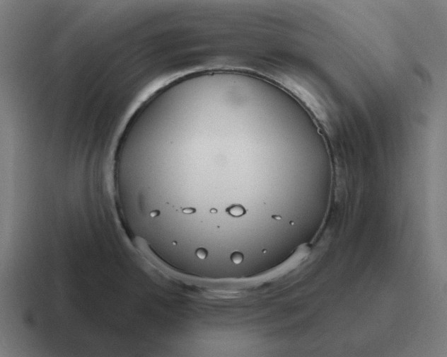 X0000116791342200912311909